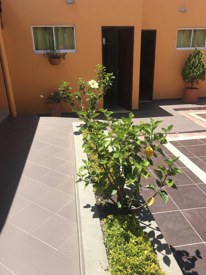 Hostal El Hangar Rionegro Eksteriør billede